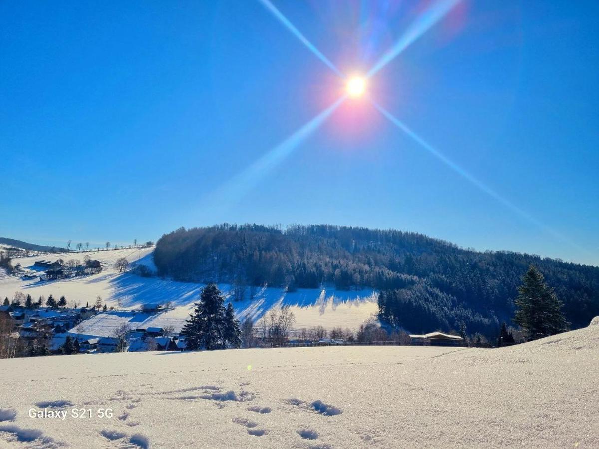 Ferienhaeuser Erzgebirge Hébergement de vacances *
